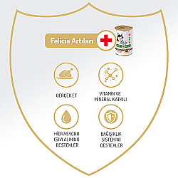 Felicia Care Tavuk Etli Pate Tahılsız Köpek Konservesi 400 Gr - 2