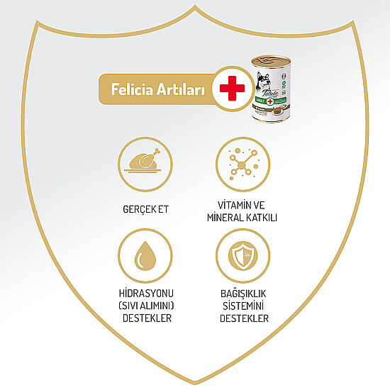 Felicia Care Tavuk Etli Pate Tahılsız Köpek Konservesi 400 Gr - 2