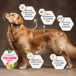 Felicia Hypoallergenic Düşük Tahıllı Kuzu Etli Küçük Irk Köpek Maması 3 Kg + Temizlik Mendili - 7