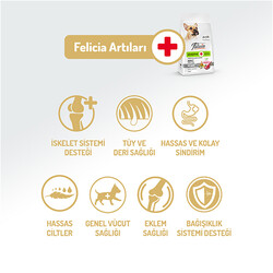 Felicia Hypoallergenic Düşük Tahıllı Kuzu Etli Küçük Irk Köpek Maması 3 Kg - Thumbnail