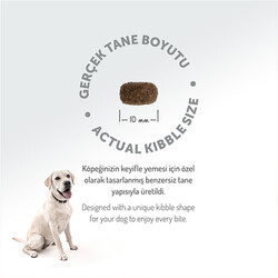 Felicia Hypoallergenic Düşük Tahıllı Kuzu Etli Küçük Irk Köpek Maması 3 Kg - Thumbnail