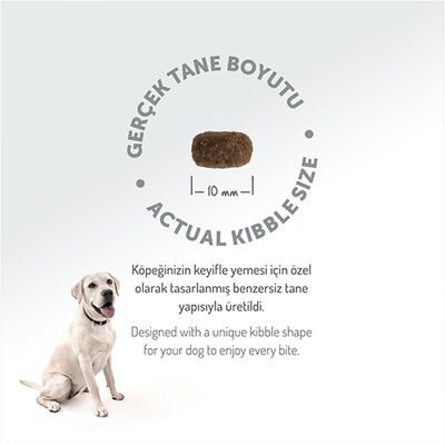 Felicia Hypoallergenic Düşük Tahıllı Kuzu Etli Küçük Irk Köpek Maması 3 Kg 