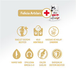 Felicia Hypoallergenic Düşük Tahıllı Kuzulu ve Pirinçli Yetişkin Köpek Maması 15 Kg + Temizlik Mendili - Thumbnail