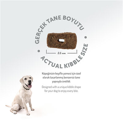 Felicia Hypoallergenic Düşük Tahıllı Kuzulu ve Pirinçli Yetişkin Köpek Maması 15 Kg + Temizlik Mendili