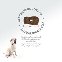 Felicia Hypoallergenic Düşük Tahıllı Kuzulu ve Pirinçli Yetişkin Köpek Maması 3 Kg + Temizlik Mendili - Thumbnail