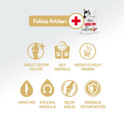 Felicia Hypoallergenic Düşük Tahıllı Kuzulu ve Pirinçli Yetişkin Köpek Maması 3 Kg + Temizlik Mendili - 3