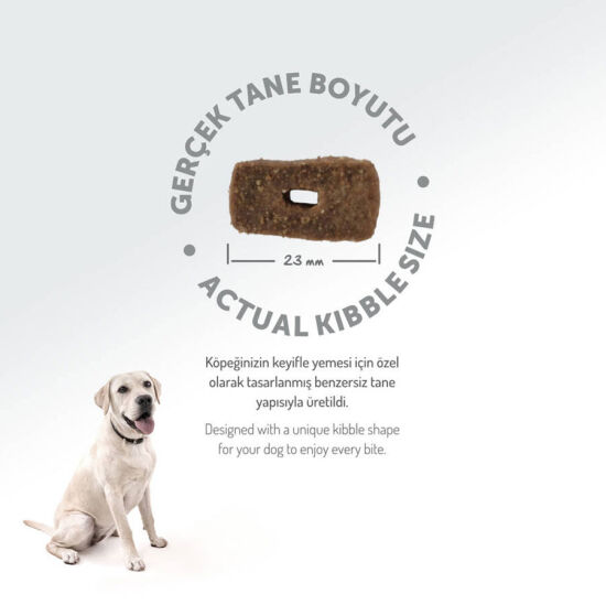 Felicia Hypoallergenic Düşük Tahıllı Kuzulu ve Pirinçli Yetişkin Köpek Maması 3 Kg + Temizlik Mendili - 8