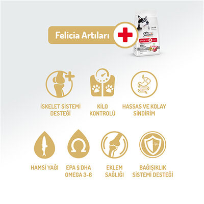 Felicia Hypoallergenic Düşük Tahıllı Kuzulu ve Pirinçli Yetişkin Köpek Maması 3 Kg 