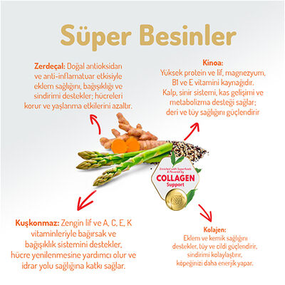 Felicia Hypoallergenic Düşük Tahıllı Kuzulu ve Pirinçli Yetişkin Köpek Maması 3 Kg 