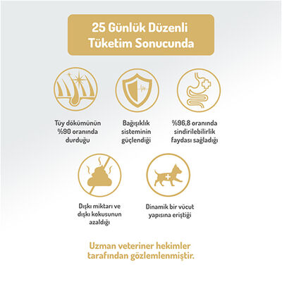 Felicia Hypoallergenic Düşük Tahıllı Kuzulu ve Pirinçli Yetişkin Köpek Maması 3 Kg 