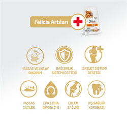 Felicia Hypoallergenic Düşük Tahıllı Somonlu Küçük Irk Yetişkin Köpek Maması 3 Kg + Temizlik Mendili - 2