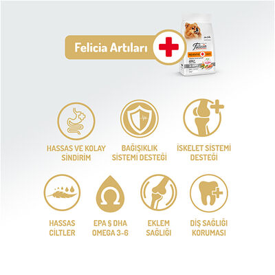 Felicia Hypoallergenic Düşük Tahıllı Somonlu Küçük Irk Yetişkin Köpek Maması 3 Kg + Temizlik Mendili - 2