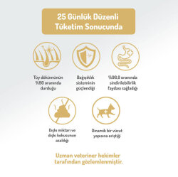 Felicia Hypoallergenic Düşük Tahıllı Somonlu Küçük Irk Yetişkin Köpek Maması 3 Kg + Temizlik Mendili - 6