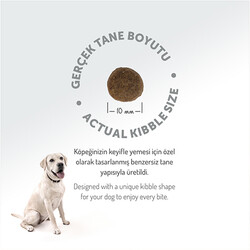 Felicia Hypoallergenic Düşük Tahıllı Somonlu Küçük Irk Yetişkin Köpek Maması 3 Kg - Thumbnail