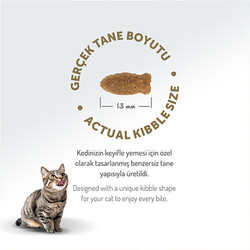 Felicia Hypoallergenic Düşük Tahıllı Somonlu Kedi Maması 12 Kg + Temizlik Mendili - Thumbnail