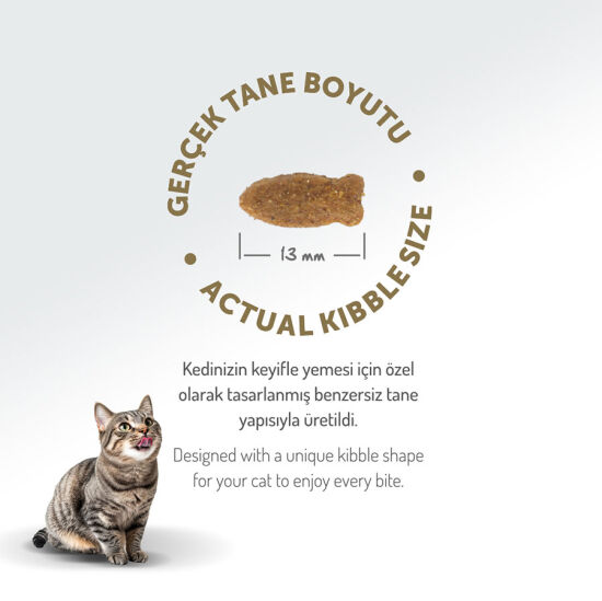 Felicia Hypoallergenic Düşük Tahıllı Somonlu Kedi Maması 12 Kg + Gimcat 20 Gr Multivitamin Paste - 9