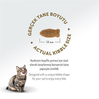 Felicia Hypoallergenic Düşük Tahıllı Somonlu Kedi Maması 12 Kg + Temizlik Mendili