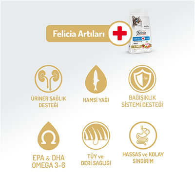 Felicia Hypoallergenic Düşük Tahıllı Somonlu Yetişkin Kedi Maması 2 Kg + Temizlik Mendili