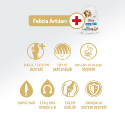 Felicia Hypoallergenic Düşük Tahıllı Somonlu Yetişkin Köpek Maması 15 Kg + Temizlik Mendili - 7