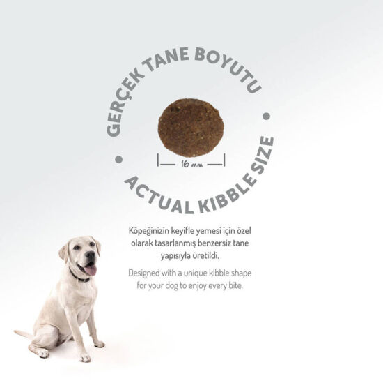 Felicia Hypoallergenic Düşük Tahıllı Somonlu Yetişkin Köpek Maması 15 Kg + Temizlik Mendili - 8