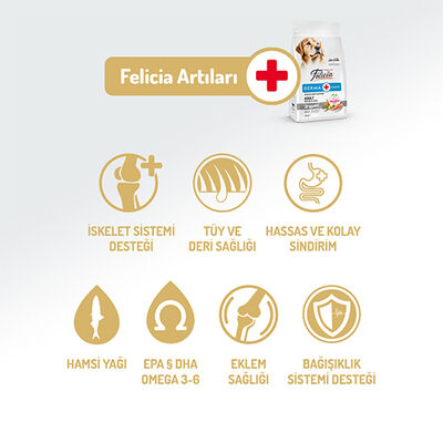 Felicia Hypoallergenic Düşük Tahıllı Somonlu Yetişkin Köpek Maması 15 Kg 