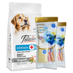 Felicia - Felicia Hypoallergenic Düşük Tahıllı Somonlu Yetişkin Köpek Maması 15 Kg + 6'lı Ranova Lolipop