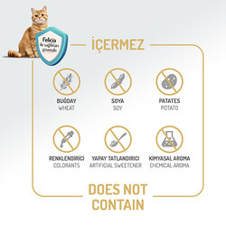 Felicia Hypoallergenic Düşük Tahıllı Kuzu Etli Kedi Maması 12 Kg + Temizlik Mendili - 4