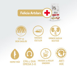 Felicia Hypoallergenic Düşük Tahıllı Kuzu Etli Kedi Maması 2 Kg + Biopet Active Malt Paste 25 ML - 9