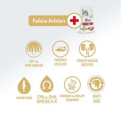 Felicia Hypoallergenic Düşük Tahıllı Yetişkin Kuzu Etli Kedi Maması 2 Kg + Temizlik Mendili