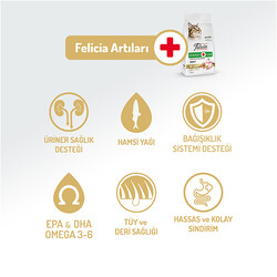 Felicia Hypoallergenic Düşük Tahıllı Yetişkin Tavuk Etli Kedi Maması 2 Kg + Temizlik Mendili - Thumbnail