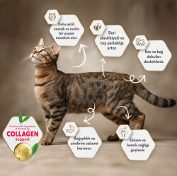 Felicia Hypoallergenic Düşük Tahıllı Kuzu Etli Kedi Maması 1 Kg - 4