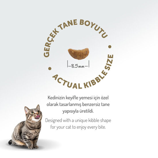 Felicia Hypoallergenic Düşük Tahıllı Kuzu Etli Kedi Maması 1 Kg - 3