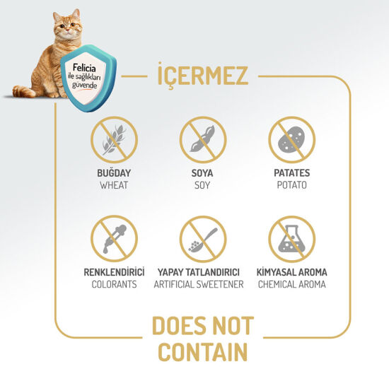 Felicia Hypoallergenic Düşük Tahıllı Kuzu Etli Kedi Maması 1 Kg - 6