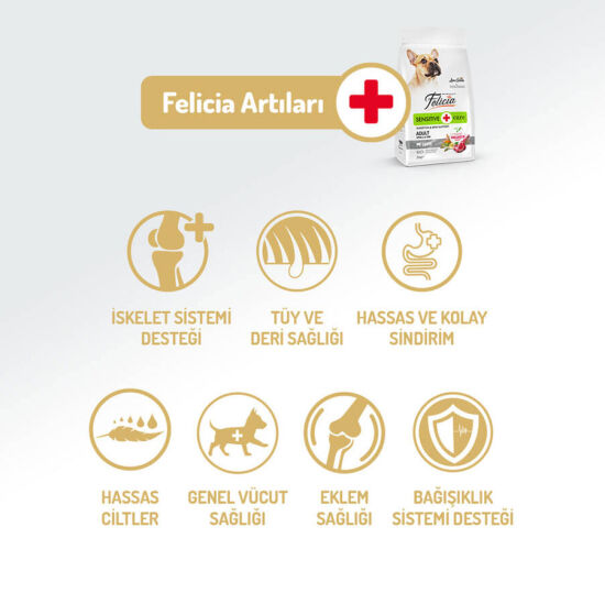 Felicia Hypoallergenic Düşük Tahıllı Kuzu Etli Küçük Irk Köpek Maması 6Kg ( 3 Kg x 2 ) + Temizlik Mendili - 5