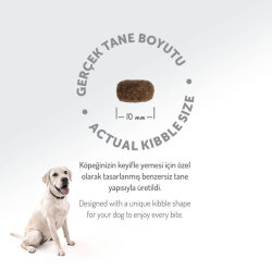 Felicia Hypoallergenic Düşük Tahıllı Kuzu Etli Küçük Irk Köpek Maması 6Kg ( 3 Kg x 2 ) + Temizlik Mendili - 10