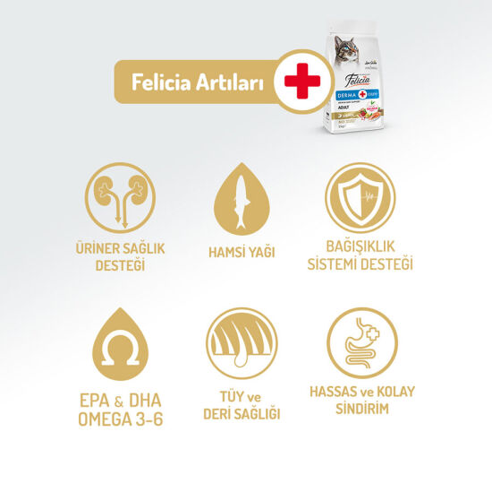 Felicia Hypoallergenic Düşük Tahıllı Somonlu Kedi Maması 1 Kg - 3