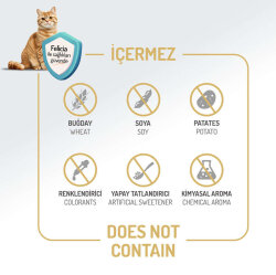 Felicia Hypoallergenic Düşük Tahıllı Somonlu Kedi Maması 5 Kg - 4