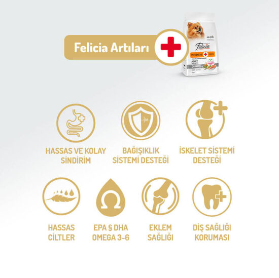 Felicia Hypoallergenic Düşük Tahıllı Somonlu Küçük Irk Yetişkin Köpek Maması 6 Kg ( 3 Kg x 2 ) + Temizlik Mendili - 5