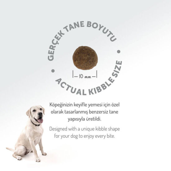 Felicia Hypoallergenic Düşük Tahıllı Somonlu Küçük Irk Yetişkin Köpek Maması 6 Kg ( 3 Kg x 2 ) + Temizlik Mendili - 10