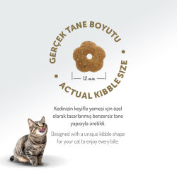 Felicia Hypoallergenic Düşük Tahıllı Tavuk Etli Kedi Maması 1 Kg - 8