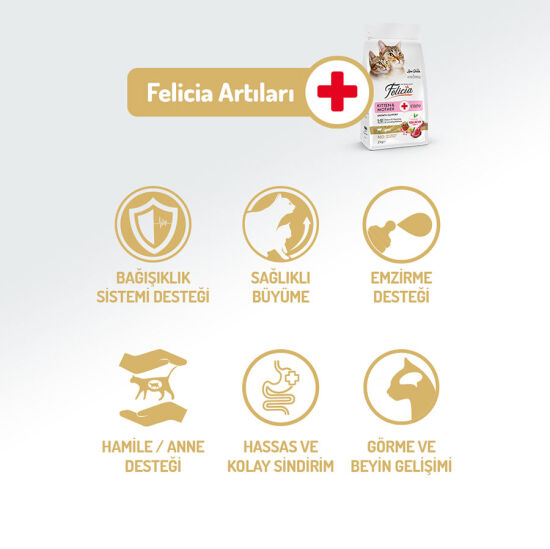 Felicia Hypoallergenic Mother Kitten Düşük Tahıllı Yavru Kuzu Etli Kedi Maması 1 Kg - 3