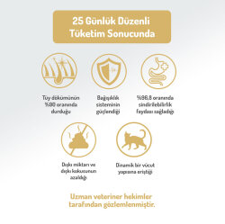 Felicia Hypoallergenic Mother Kitten Düşük Tahıllı Yavru Kuzu Etli Kedi Maması 1 Kg - 6
