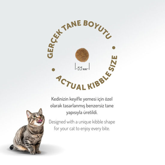 Felicia Hypoallergenic Mother Kitten Düşük Tahıllı Yavru Kuzu Etli Kedi Maması 1 Kg - 8