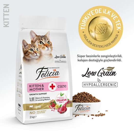 Felicia Hypoallergenic Mother Kitten Düşük Tahıllı Yavru Kuzu Etli Kedi Maması 1 Kg - 2