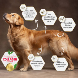 Felicia Hypoallergenic Puppy Düşük Tahıllı Kuzu Etli Yavru Köpek Maması 6 Kg ( 3 Kg x 2 ) + Temizlik Mendili - 9