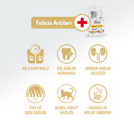 Felicia Hypoallergenic Sterilised Düşük Tahıllı Kısırlaştırılmış Tavuk Kedi Maması 1 Kg - 3
