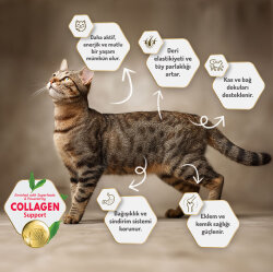 Felicia Hypoallergenic Urinary Sterilised Somonlu Kısırlaştırılmış Kedi Maması 1 Kg - 6