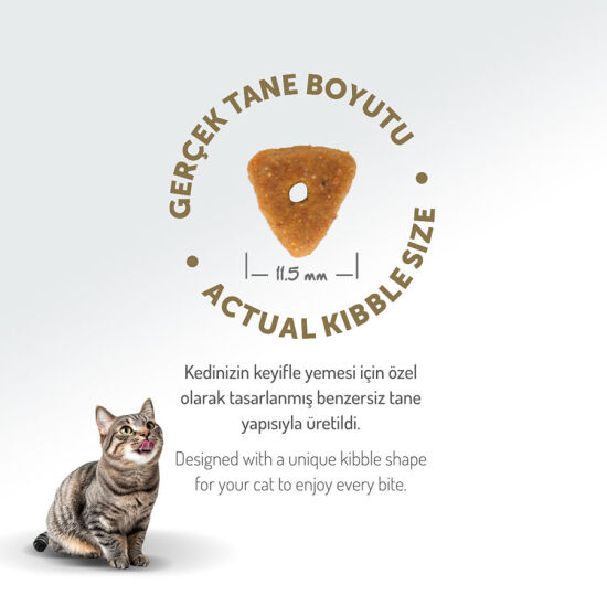 Felicia Hypoallergenic Urinary Sterilised Somonlu Kısırlaştırılmış Kedi Maması 1 Kg - 8