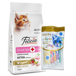 Felicia - Felicia Hypoallergenic Starter Care Kitten Düşük Tahıllı Tavuklu Yavru Kedi Maması 2 Kg + 5'li Ranova Lolipop