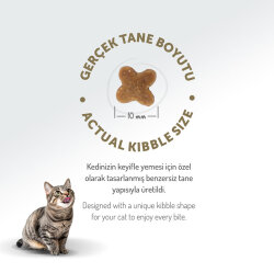 Felicia Hypoallergenic Starter Care Kitten Düşük Tahıllı Tavuklu Yavru Kedi Maması 2 Kg + Biopet Active Malt Paste 25 ML - 8